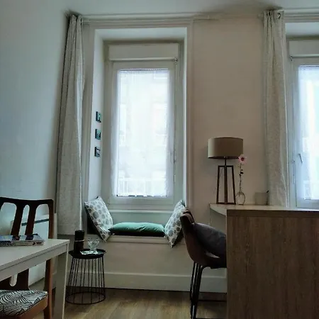 Grande Terrasse Arboree Appartement Brest