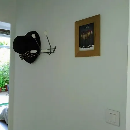 Grande Terrasse Arboree Appartement Brest